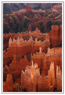 Bryce - Hoodos (1)