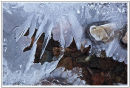 Ice Crystals - Glen Etive