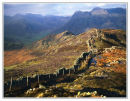 Lingmoor Fell