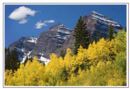 Aspens and Peaks