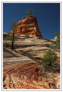 Navajo Sandstone Zion