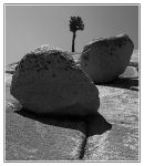 Olmsted Point