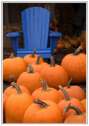 Pumpkins
