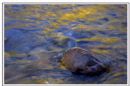 River of gold