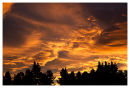 Tekapo Sunset (2)