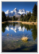 Grand Teton Reflections