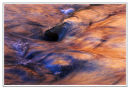 Zion - River relections