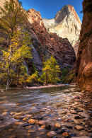 The Narrows - Zion