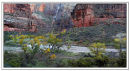 Zion Panorama