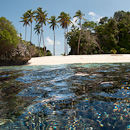 Deserted Island I