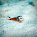 You looking at me?