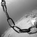 Anchor chain