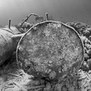 Old barrels