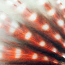Lionfish abstract