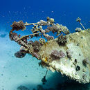 Small yacht wreck