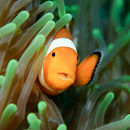 You found me!