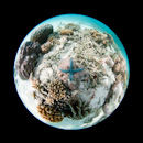 Round the globe