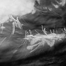 Surface abstract II