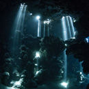 Cathedral Cave