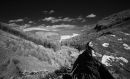 The Valley