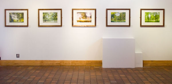 Yard Gallery