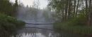 Beaver's bridge