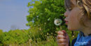 Blowing