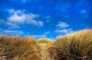 Sand dunes
