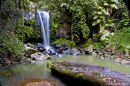 Curtis Falls after the flood