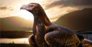 The Eagle