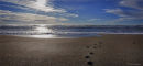 Footprints