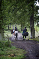 Horsey talk