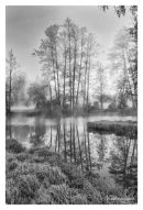 Morning waters