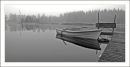 Still waters