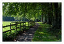 Paths of life