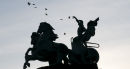 Pigeon racing