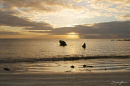 Portavogie beach