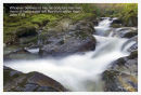 Rivers of life