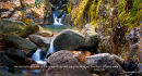 Rivers of Living water