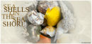 Sea shells