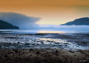 Shore line