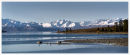 Shoreline