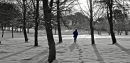 Snow walking