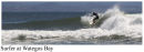 Surfer