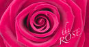 The rose