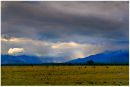 The coming storm!