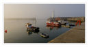 The harbour 