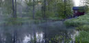 The log bridge