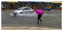 The umbrella