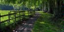 Woodland walk